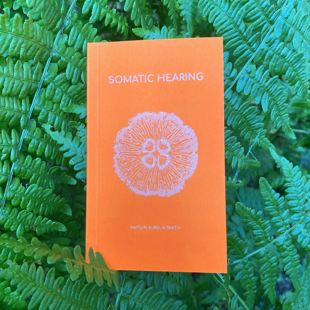 Somatic Hearing Book