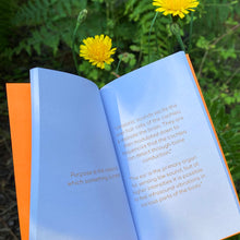 Somatic Hearing Book