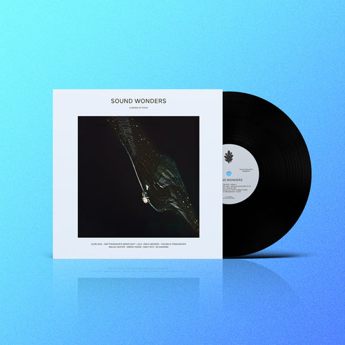 Sound Wonders LP